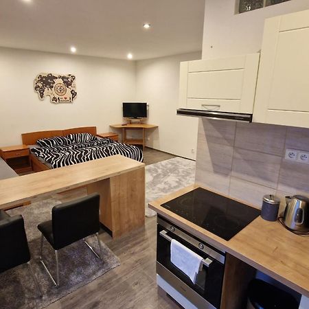 Apartmany Vila Singles Litoměřice Zimmer foto