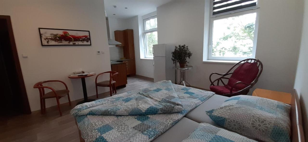 Apartmany Vila Singles Litoměřice Exterior foto