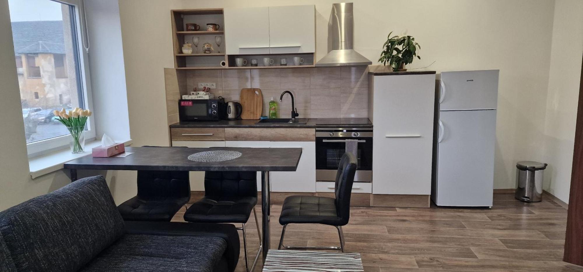 Apartmany Vila Singles Litoměřice Zimmer foto